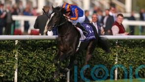 Auguste Rodin set to stretch his legs after racing at the Curragh