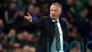 Michael O’Neill rues missed chances as Northern Ireland suffer Finland setback