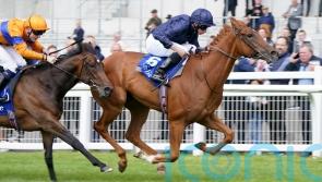 Leading fancy Statuette set to miss Guineas, reveals O’Brien