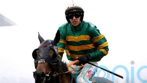 Next stop Aintree for Stayers’ Hurdle hero Sire Du Berlais