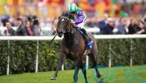 Fellowes and Vadream on a ‘shot to nothing’ on Finals Day