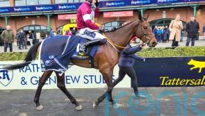 Brighterdaysahead registers ‘bittersweet’ success for Gordon Elliott