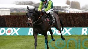 Paul Nicholls’ star chaser Clan Des Obeaux is retired