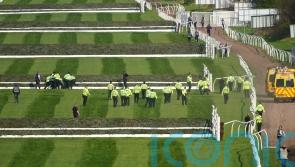Nine protestors arrested after accessing Aintree track