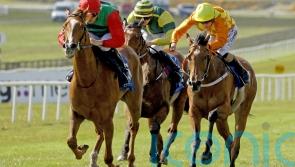 Goldana sparkles on first start for Joseph O’Brien