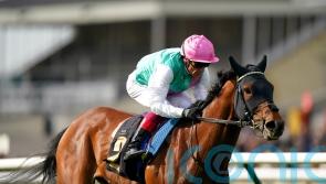 Dettori back with a bang as he embarks on final British campaign