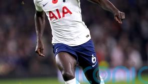 We trust him – Cristian Stellini backs Tottenham defender Davinson Sanchez