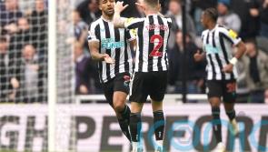 Substitute Callum Wilson’s brace helps Newcastle hit back to beat Southampton