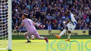 ‘Special’ Brighton boss Roberto De Zerbi is a joy to play for – Danny Welbeck