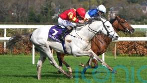 White Birch bidding for Derby Trial double