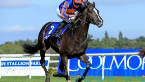 Auguste Rodin tops 14 seeking 2000 Guineas honours