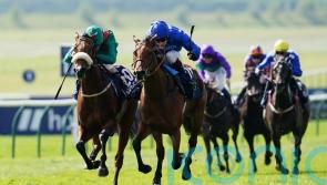 ‘She has run a wonderful race’ – Weld so proud of Tahiyra in defeat