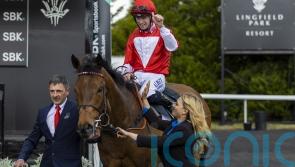 Ground key to Rogue Millennium’s summer plans
