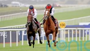 Haggas upbeat on prospect of Ormonde defence from Hamish