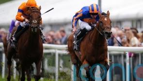 San Antonio holds of Alder in Dee Stakes battle of the O’Briens