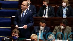 Martin’s Dail comments ‘highly inappropriate’, says businessman Cosgrave