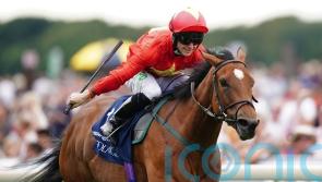 Quinn anticipating stern York test for Highfield Princess