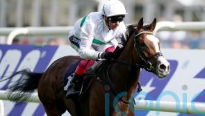 Middleton a ‘good starting point’ for Free Wind