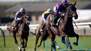 Persian Dreamer heads Amo’s Marygate charge