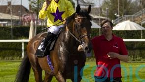 Haggas on Lockinge fact-finding mission with My Prospero