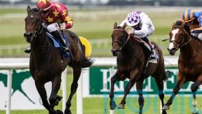 Al Riffa ruled out of Irish 2,000 Guineas by Joseph O’Brien