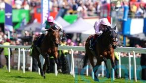 Royal Ascot and Saint-Cloud options for Westover