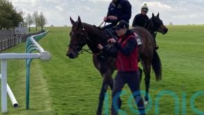 The Astrologist’s team predicting big Haydock effort