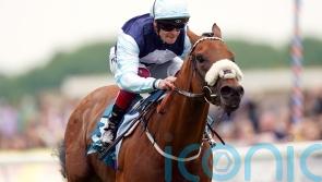 Bethell hoping ‘stable legend’ Regional can take step up in class in his stride