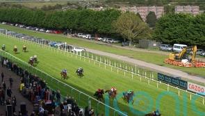 ‘Systems and administrative error’ sees four runners taken out of Brighton race