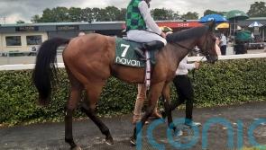 Pearls And Rubies books Royal Ascot ticket with smart Navan win