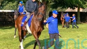 Adayar raring to go in search of Prince of Wales’s Stakes gold