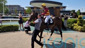 Iberian makes striking impression on Newbury debut