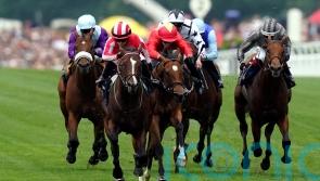 Bradsell repels Highfield Princess in dramatic King’s Stand