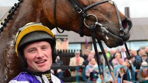 Hogan to appeal against three-month suspension