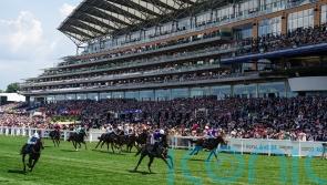 Breeders’ Cup the ultimate goal for Valiant Force