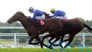 King George in Hukum’s sights after bypassing Royal meeting