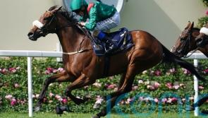 Weld will look at Matron Stakes as an option for Tahiyra