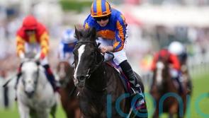 Auguste Rodin takes on eight in Derby double bid