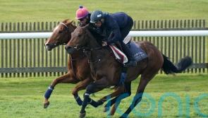 Hills eyeing Goodwood options for Cicero’s Gift
