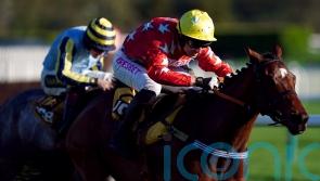 Harris dreaming of Melbourne Cup bid for Scriptwriter