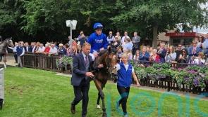 Appleby confident Mystery can advertise Star status