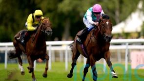 Nostrum makes serious impression on return to action