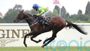 Gold Cup winner Subjectivist retired