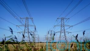 Final ‘mix’ of energy support not yet decided, McGrath says