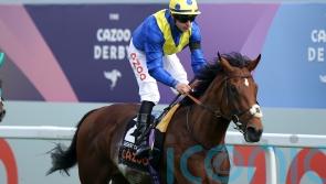 Leg infection scuppers Desert Crown’s King George challenge