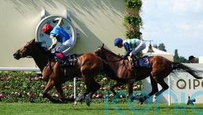 Conditions a key factor in Courage’s Goodwood Cup bid