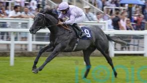 Hills expecting Orazio to make his mark in Stewards’ Cup