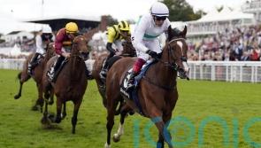 Epictetus shocks hot favourite Nostrum in Thoroughbred Stakes