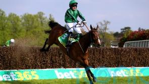 Hewick set for a break after Galway Plate effort