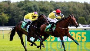 Poptronic and Novakai to spearhead Burke’s York squad